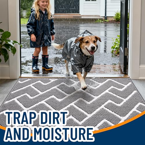 Non-Slip Indoor Door Mat - Washable Low-Profile Entryway Rug, 32x20 Inch