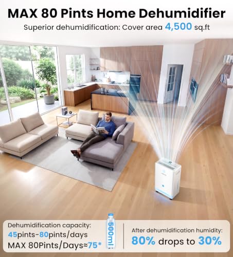 Large Capacity Dehumidifier for Basement and Home with Drain Hose