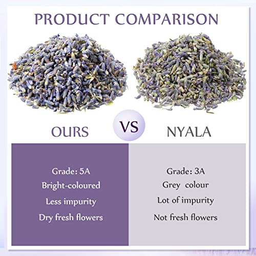 Dried Lavender Flowers 3 Pound Bulk - Natural Fragrant Buds for DIY Crafts