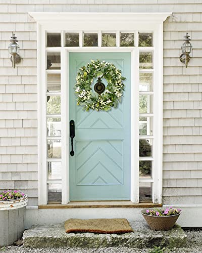 19-Inch Artificial Eucalyptus & Boxwood Front Door Wreath with Berries