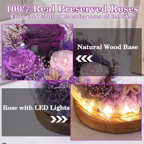 Preserved Eternal Rose in Glass Dome - Real Purple Flower with Wood Base