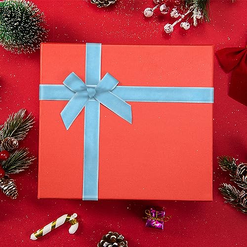 Velvet Ribbon for Crafts & Gift Wrapping - Light Blue 3/8" x 25 Yards - Style 3 Pale Blue