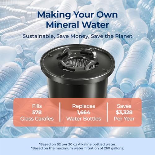 Alkaline Remineralization Water Filter Replacement 2-Pack (1-Year Set)