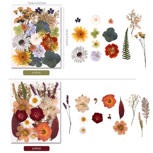 Pressed Dried Flowers and Leaves Set with Tweezers - 140 Pcs for Resin Art
