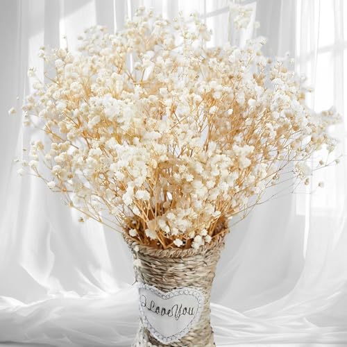 Dried Baby's Breath Flowers - 17-Inch Natural Ivory Gypsophila Bouquet