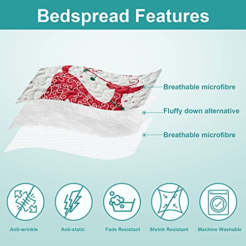 Hansleep Red Reindeer Queen/Full Christmas Quilt Set 90x96 in Bedding