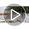 16Pcs 18in Lifelike Norfolk Pine Branches for Vase - YXZZWL