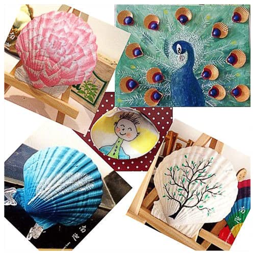 Natural White Scallop Shells for Crafts & Baking - 4 to 5 Inch (10 Pack)