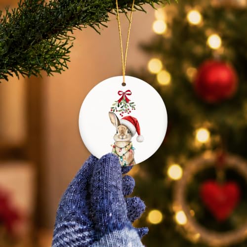 MIBEZE Santa Bunny Christmas Ceramic Ornament Gift - Variation 71