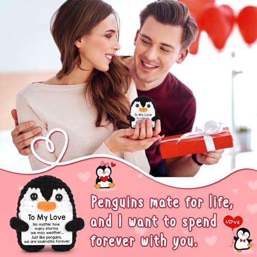 Handmade Crochet Mini Penguin Romantic Gift with Card for Couples