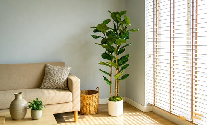 6FT Artificial Fiddle Leaf Fig Tree with White Planter - Lifelike Indoor Decor