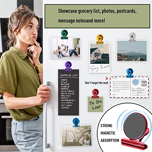 Heavy-Duty Stainless Steel Magnetic Clips with Anti-Scratch Pads - 12 Pack