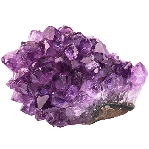 Natural Amethyst Quartz Crystal Cluster Geode Specimen, 1-2 Inch