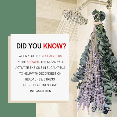Dried Eucalyptus and Lavender Shower Bundle for Home Spa Decor