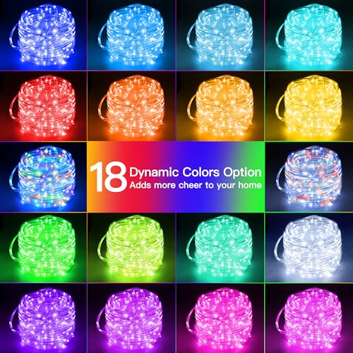 33ft LED Rope Lights, Color Changing Flexible String Lights with Remote