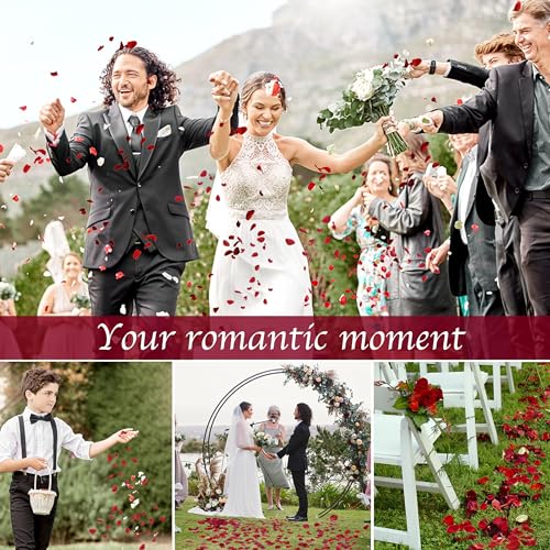 180 Real Preserved Red Rose Petals for Romantic Decor and Wedding Confetti