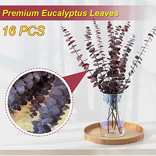 16 Pcs Preserved Red Eucalyptus Stems 17-Inch Real Dried Floral Branches