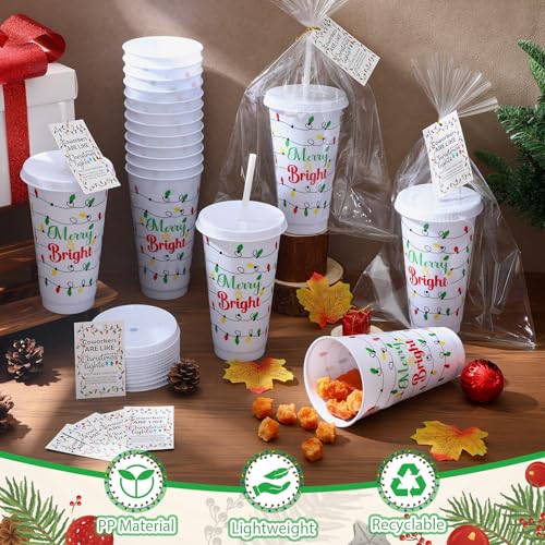 Willinglong Christmas Light Bulb Themed 24 oz Reusable Tumblers with Lids & Straws – Bulk Gift Set for Staff and Coworkers