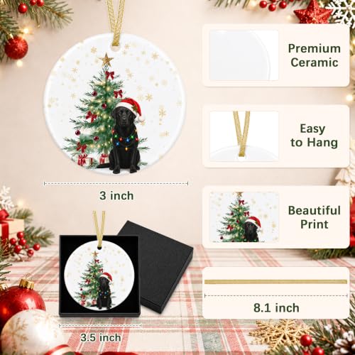 Black Lab Gifts Ceramic Christmas Ornament - Dog Ornament for Tree - Black Labrador