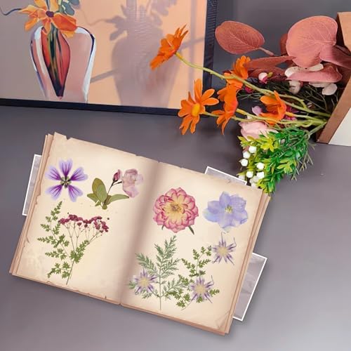 50-Piece Real Dried Pressed Flowers Kit with Tweezers for Resin Crafting