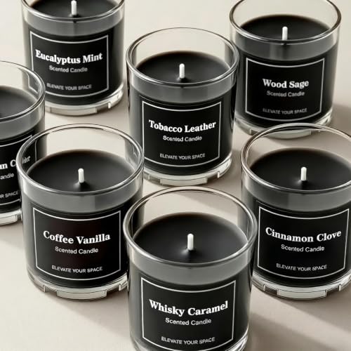 Furnizone 12 Pack Scented Soy Candles - Long Lasting Gift Set for Home & Holidays