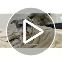 Queen Size Fleece Blanket 90x90 - Soft Plush Microfiber, Lightweight & Warm