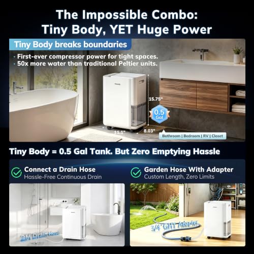Compact Compressor Dehumidifier 45 Pint with Drain Hose and Humidistat