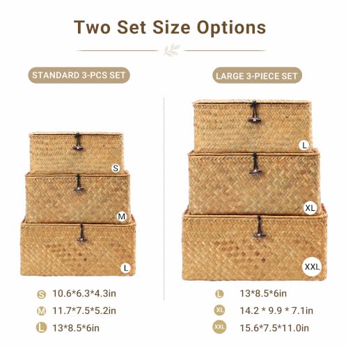 Wicker Storage Basket with Lid, Hand-Woven Seagrass Basket Set of 3