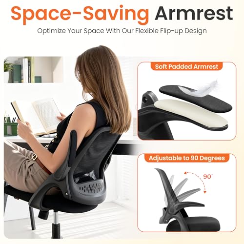 Ergonomic Mesh Office Chair with Flip-Up Arms and Lumbar Support, Black