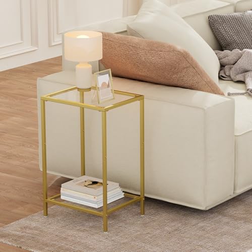 2-Tier Tempered Glass Side Table Set, Modern Metal Accent End Table