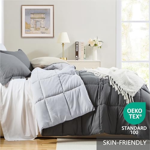 Lightweight Twin Comforter Set - Reversible Gray All-Season Bedding
