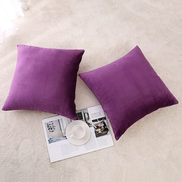 NiNi ALL Purple Velvet Throw Pillow Covers 22x22in (Pack of 2) Decorative Cushions