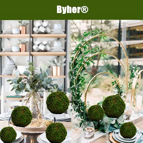 Natural Preserved Moss Decorative Balls, 3.5-Inch Set of 6