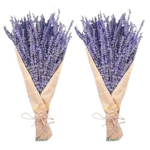 Natural Dried Lavender Bundles (2 Pack, 280 Stems) - 16 Inch Decor