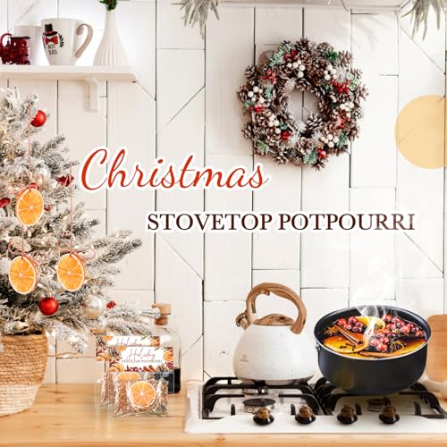 6 Pack Holiday Simmer Pot Kit - Natural Christmas Potpourri Gift Set