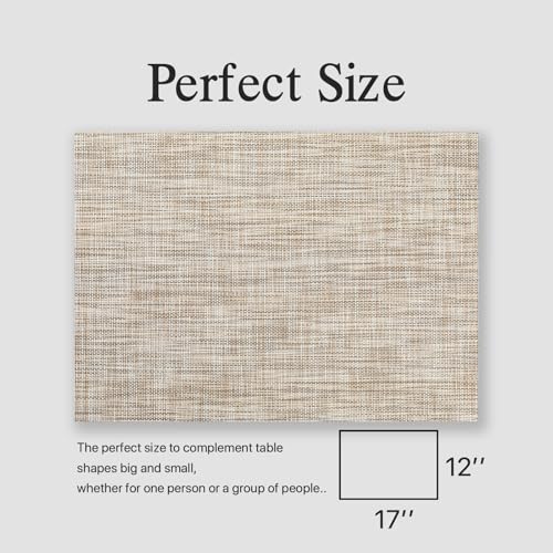 Woven Vinyl Placemats Set of 4 - Easy Clean Washable Dining Table Mats