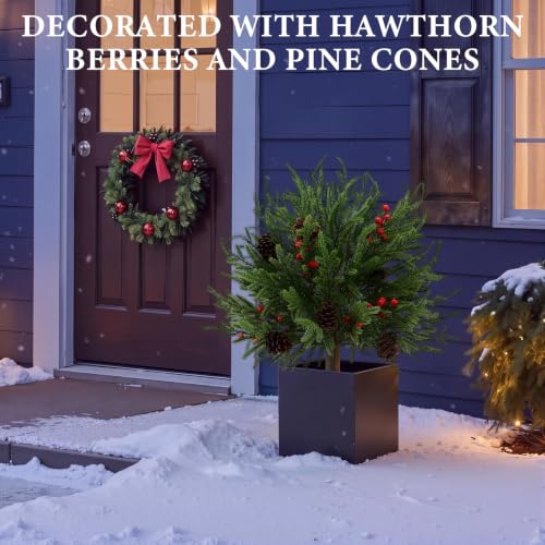 Canlierr 2-Pack 24-Inch Artificial Christmas Topiary Ball Trees for Outdoor Decor