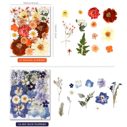 110 Pcs Real Dried Pressed Flowers & Leaves Set for Resin Crafts & DIY