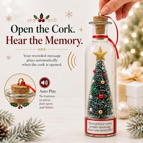 CRILEAL Blue Recordable Christmas Tree Ornament with Snow Scene, 25-Second Voice Message