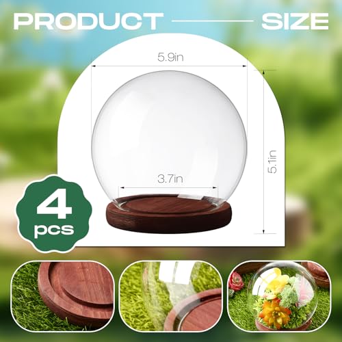 4-Piece Glass Display Dome Set with Wood Base, 5.9-Inch Clear Globe Case