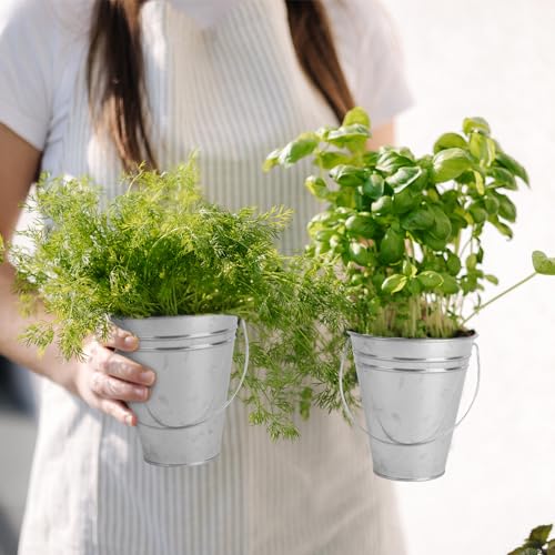 12-Pack Galvanized Metal Buckets with Handles for Party & Decor, 4.7x5 Inches