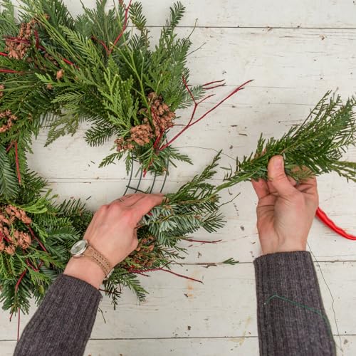 5 Pack Christmas Wire Wreath Frame 12 Inch Metal Form Front Door Wreath Ring for New Year Decors Crafts DIY