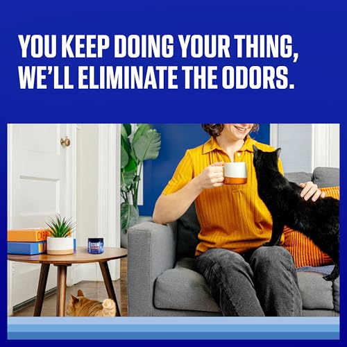 Odor Eliminating Gel Air Freshener for Smoke & Pets, Original Scent, 4-Pack