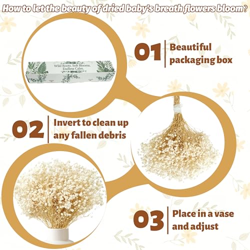 Dried Baby's Breath Flowers, 17-Inch Natural Ivory White Gypsophila Bouquet