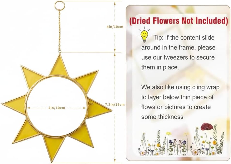 Sunburst Pressed Flower Frames - Decorative Double Glass Wall Art | Horizontal Display for Dried Flowers & Plants, Gold