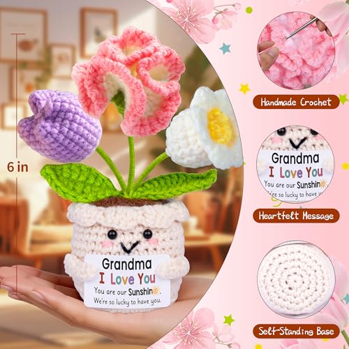 Handmade Crochet Flower Pot Gift for Grandma with Sentiment Card