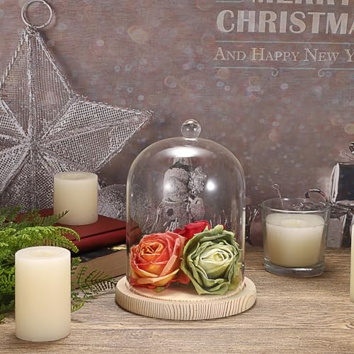 Clear Glass Display Dome Cloche with Wood Base, 7.3-inch Decorative Jar