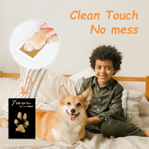 Inkless Paw Print Kit - Mess-Free Clean Touch Keepsake (4 Pads & 16 Cards)
