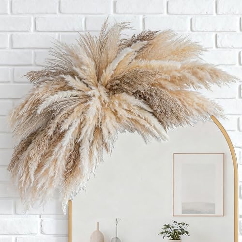 DIY Boho Dried Pampas Grass Wall Decor Kit for Home and Wedding