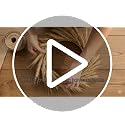 100 Stems Natural Dried Wheat Stalks, 12.9 Inch Fall Decor & Vase Filler